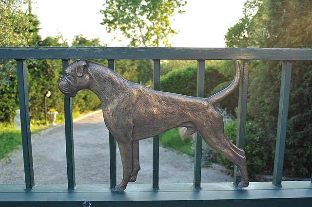 Boxerzucht Casa Bartolini