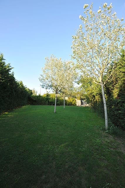 Boxerzucht Casa Bartolini