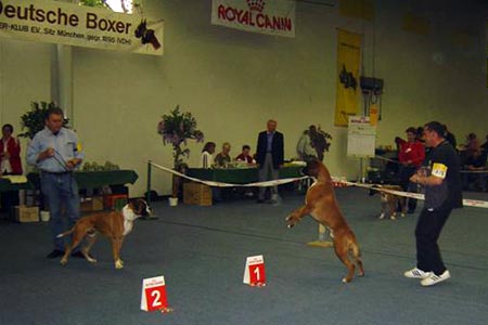 Dortmund 2004