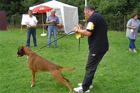 Hanau 2004