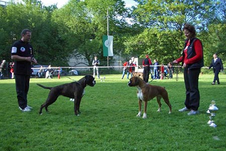 Wuppertal 2004