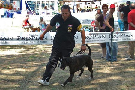 Pisa 2005