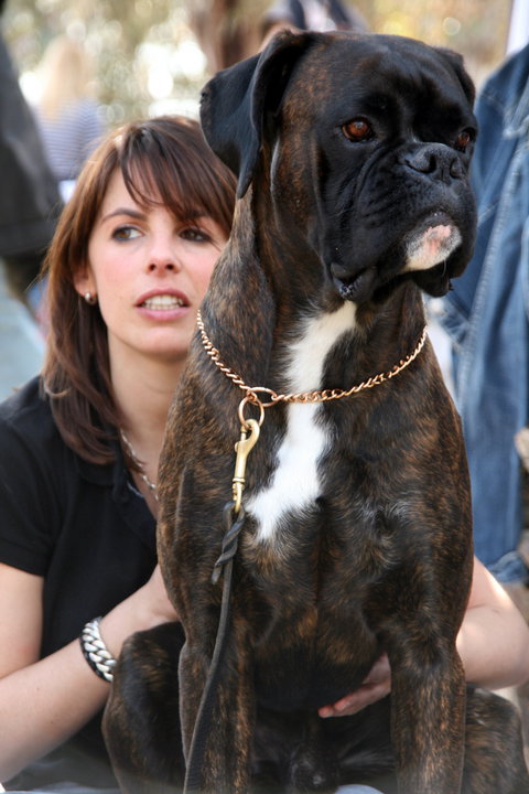 CACIB Alghero