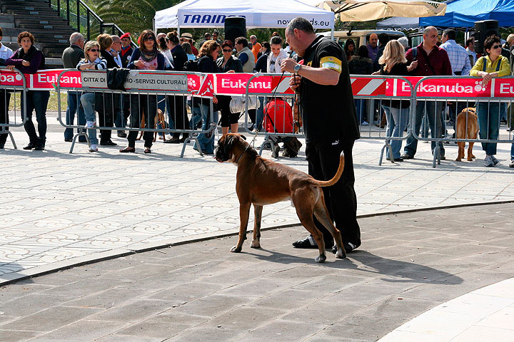 CACIB Alghero
