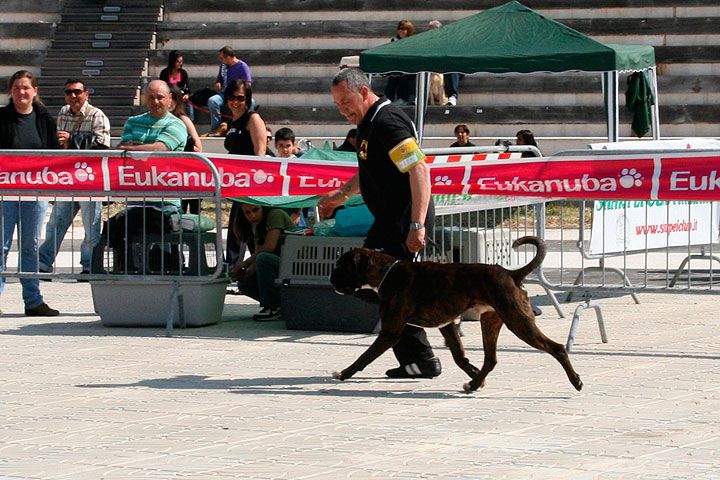 CACIB Alghero