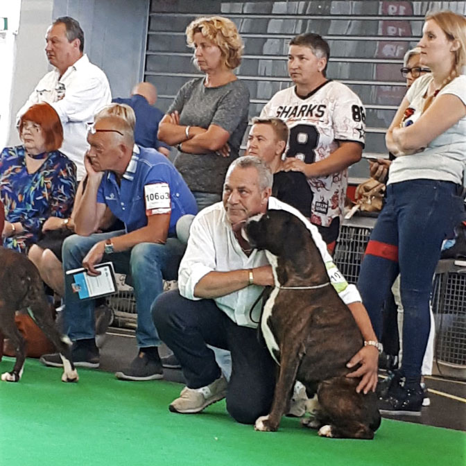 World Dog Show Amsterdam 2018 (N)