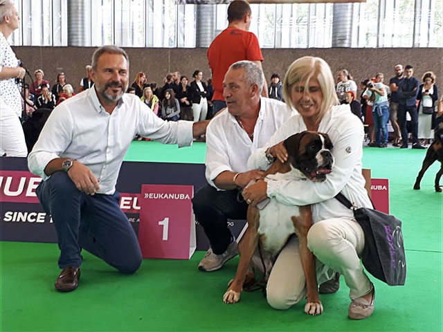 World Dog Show Amsterdam 2018 (N)