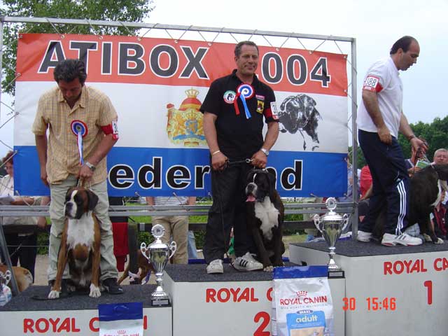 Atibox 2004