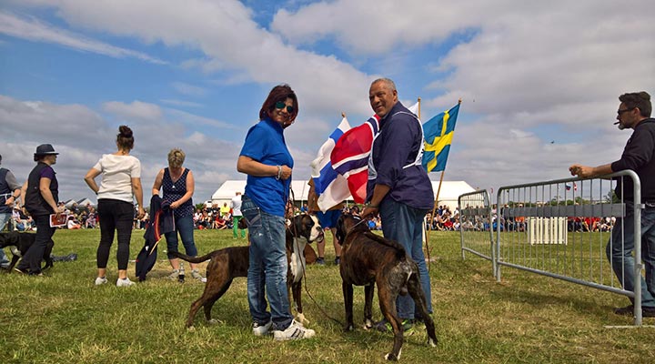 Atibox 2018 Malmö (Svezia)