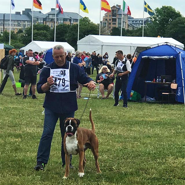 Atibox 2018 Malmö (Svezia)