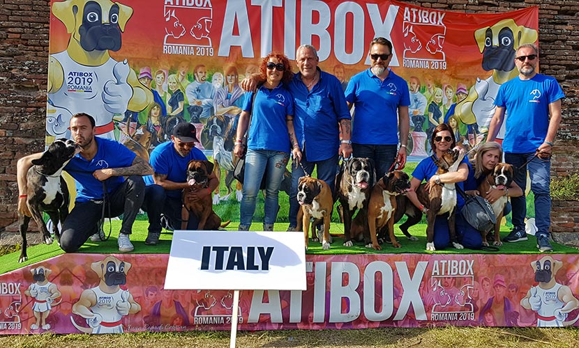 Atibox Oradea