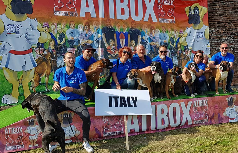 Atibox Oradea