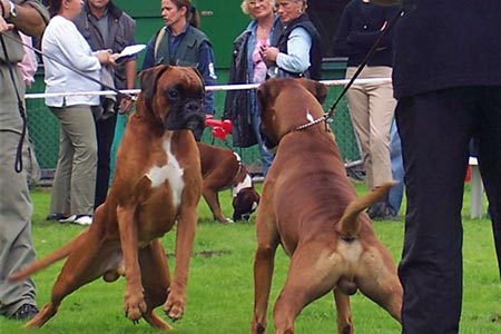 Dusseldorf 2005