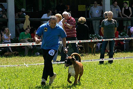 Svizzera 2007