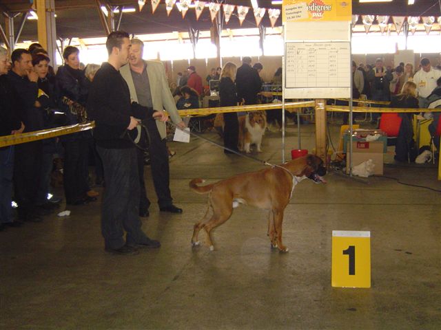 Internazionale Offenburg