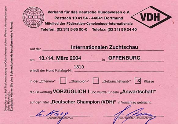 Internazionale Offenburg