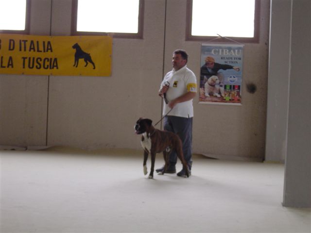 Internazionale Viterbo