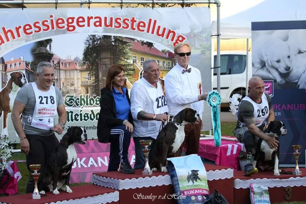 Jahressieger Ausstellung Schloss Meisdorf (D)