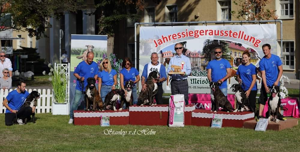 Jahressieger Ausstellung Schloss Meisdorf (D)