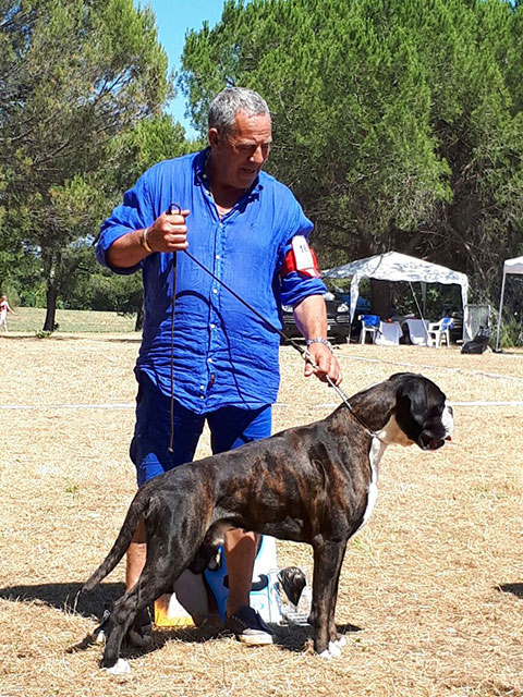 Jahressieger Montpellier (F), Cosmo