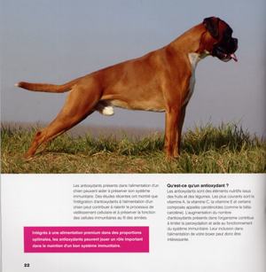 Eukanuba