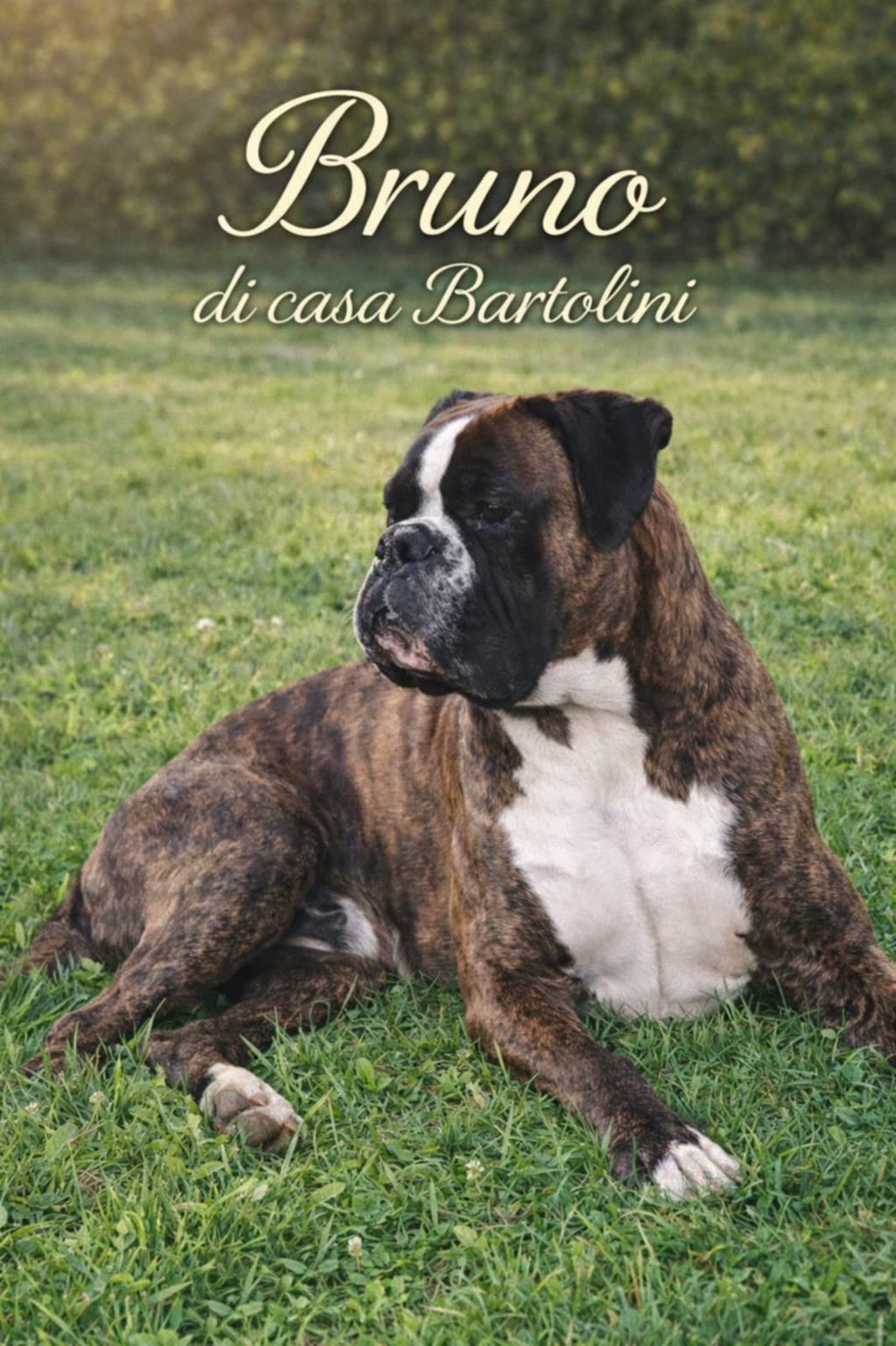 Casa Bartolini poster
