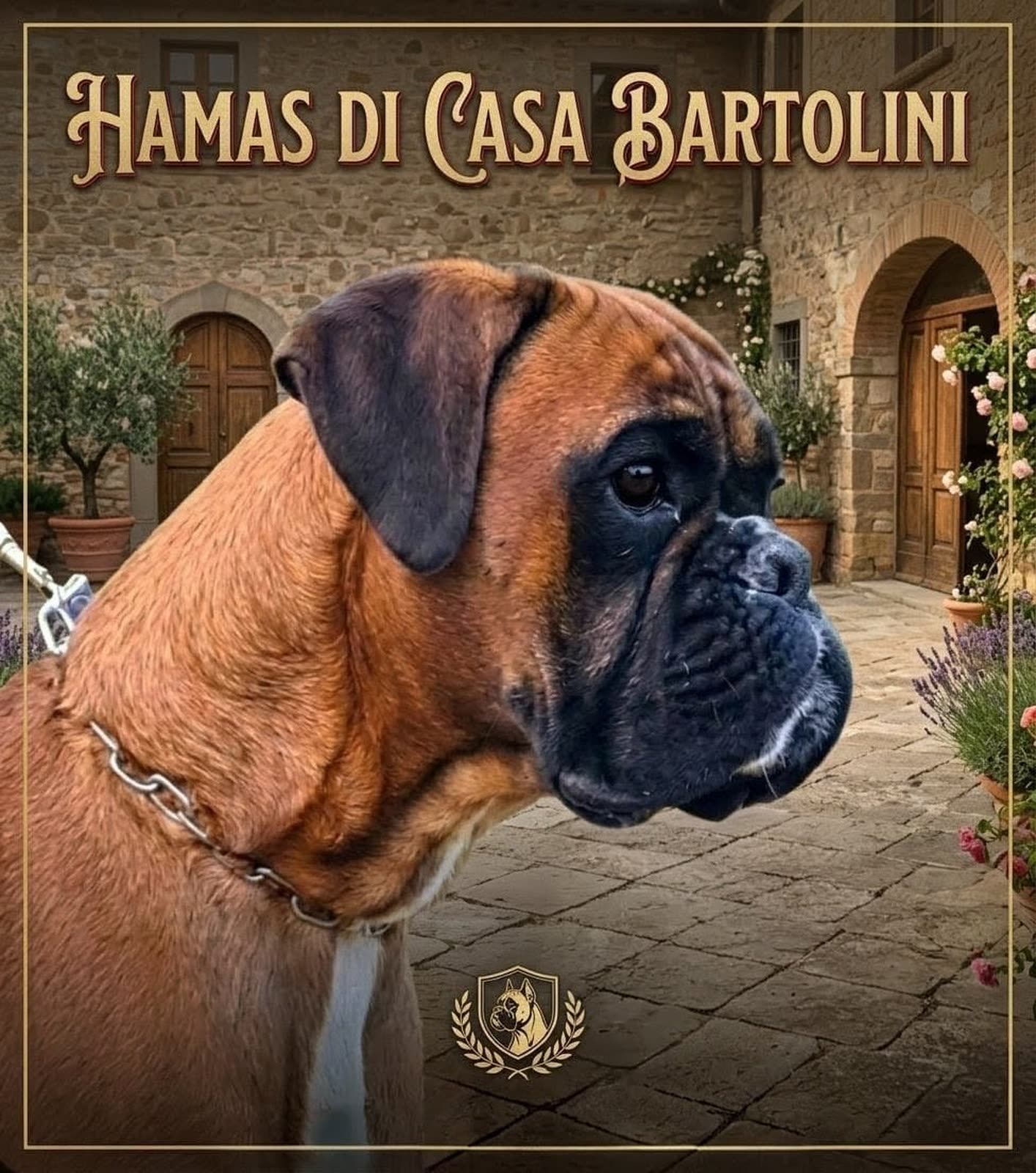 Casa Bartolini poster
