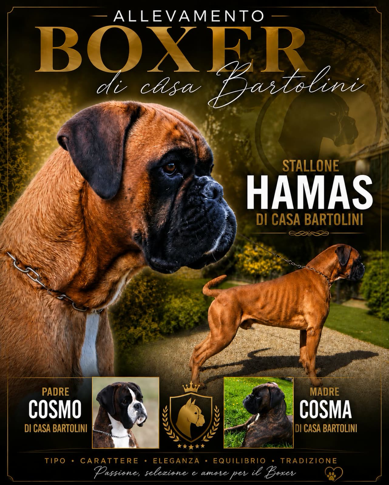 Casa Bartolini poster
