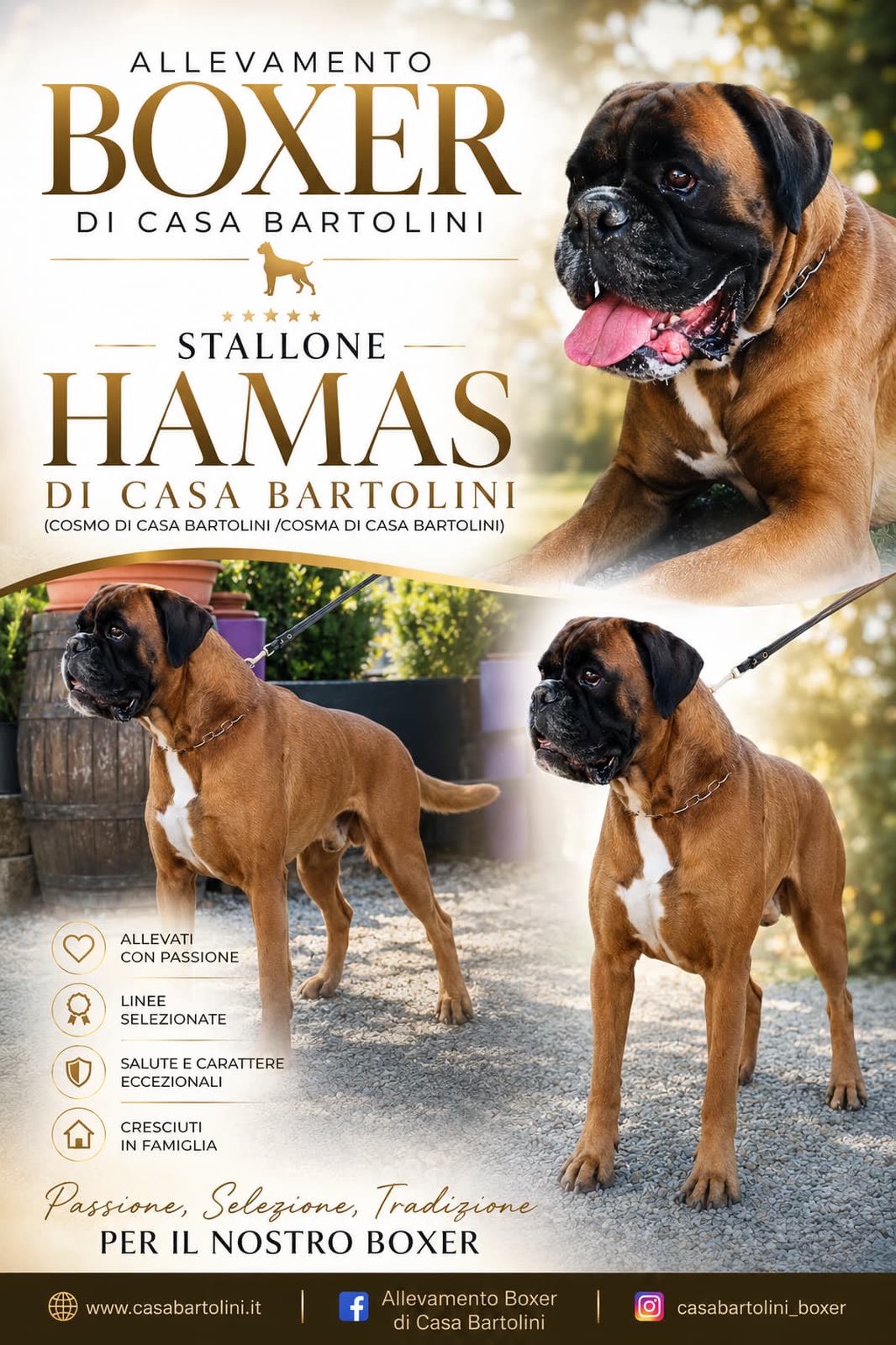 Casa Bartolini poster