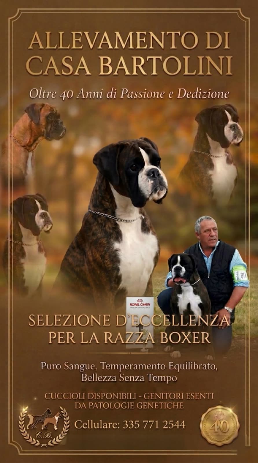 Casa Bartolini poster