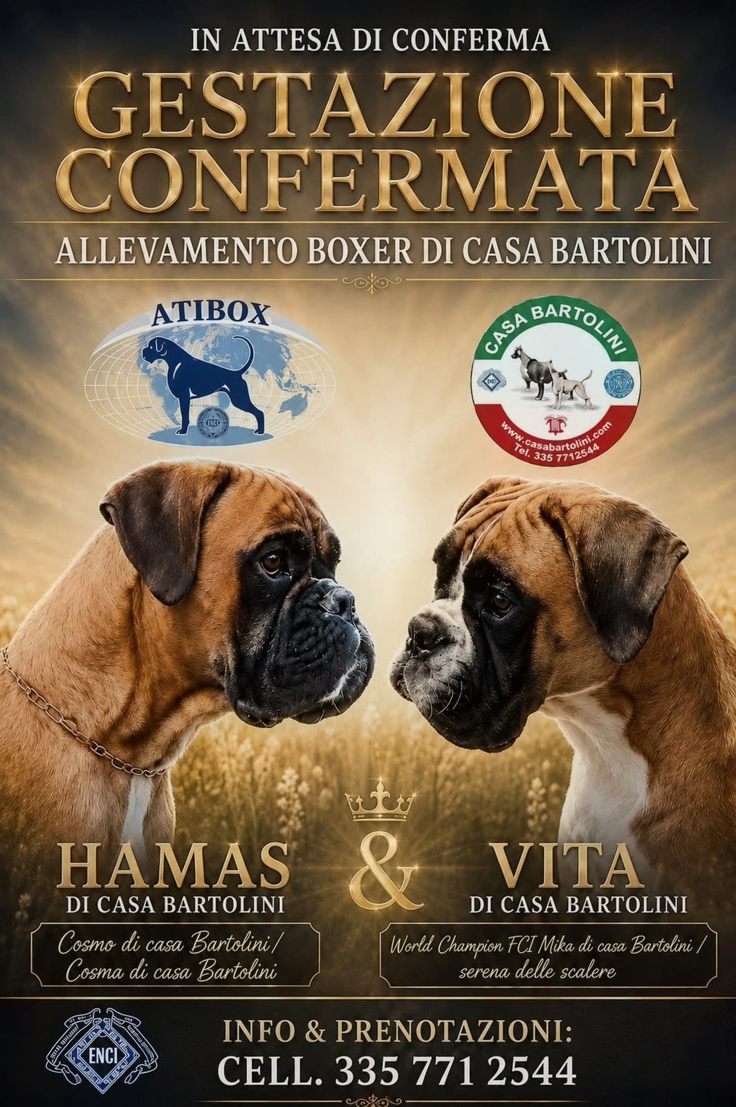 Casa Bartolini poster
