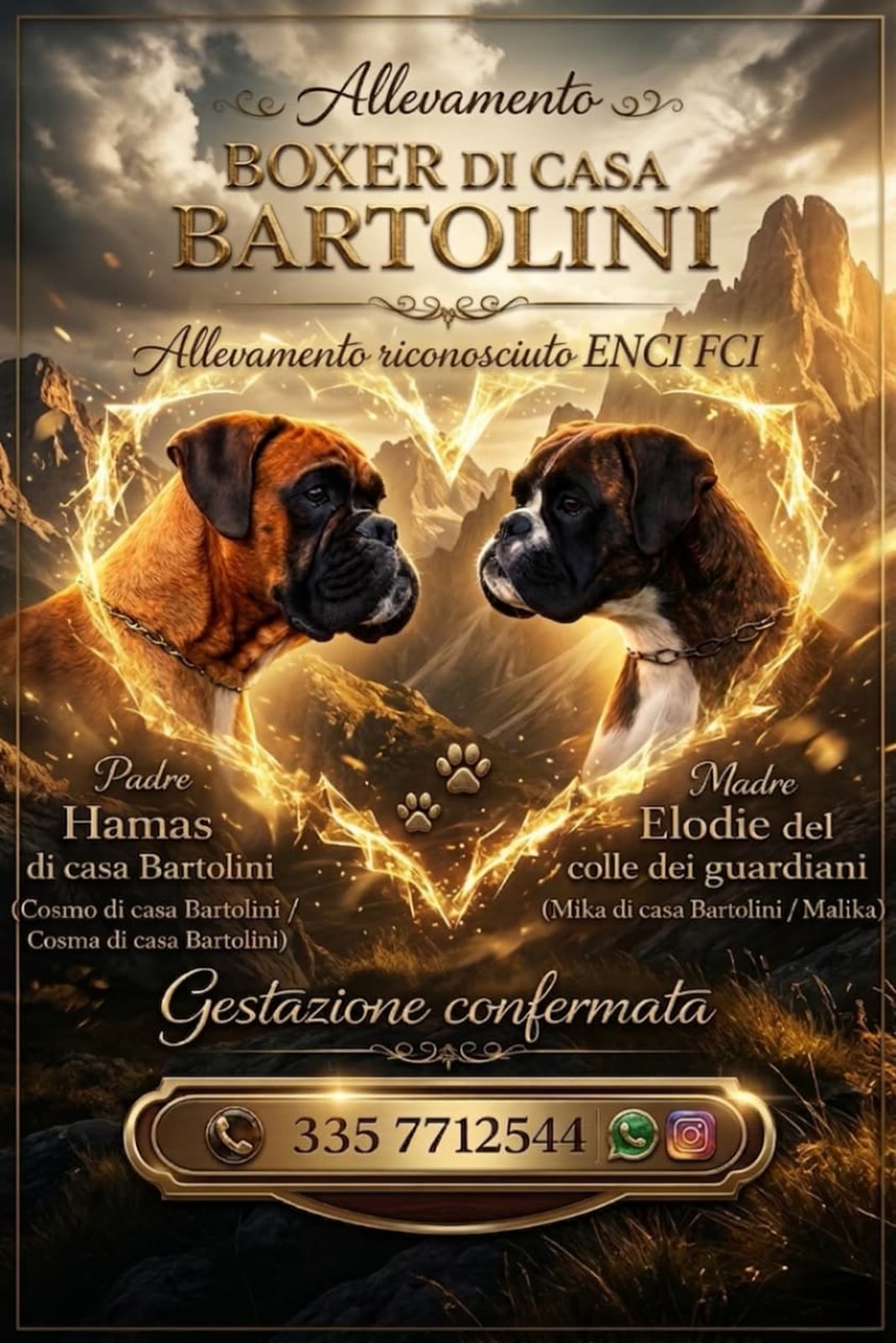 Casa Bartolini poster
