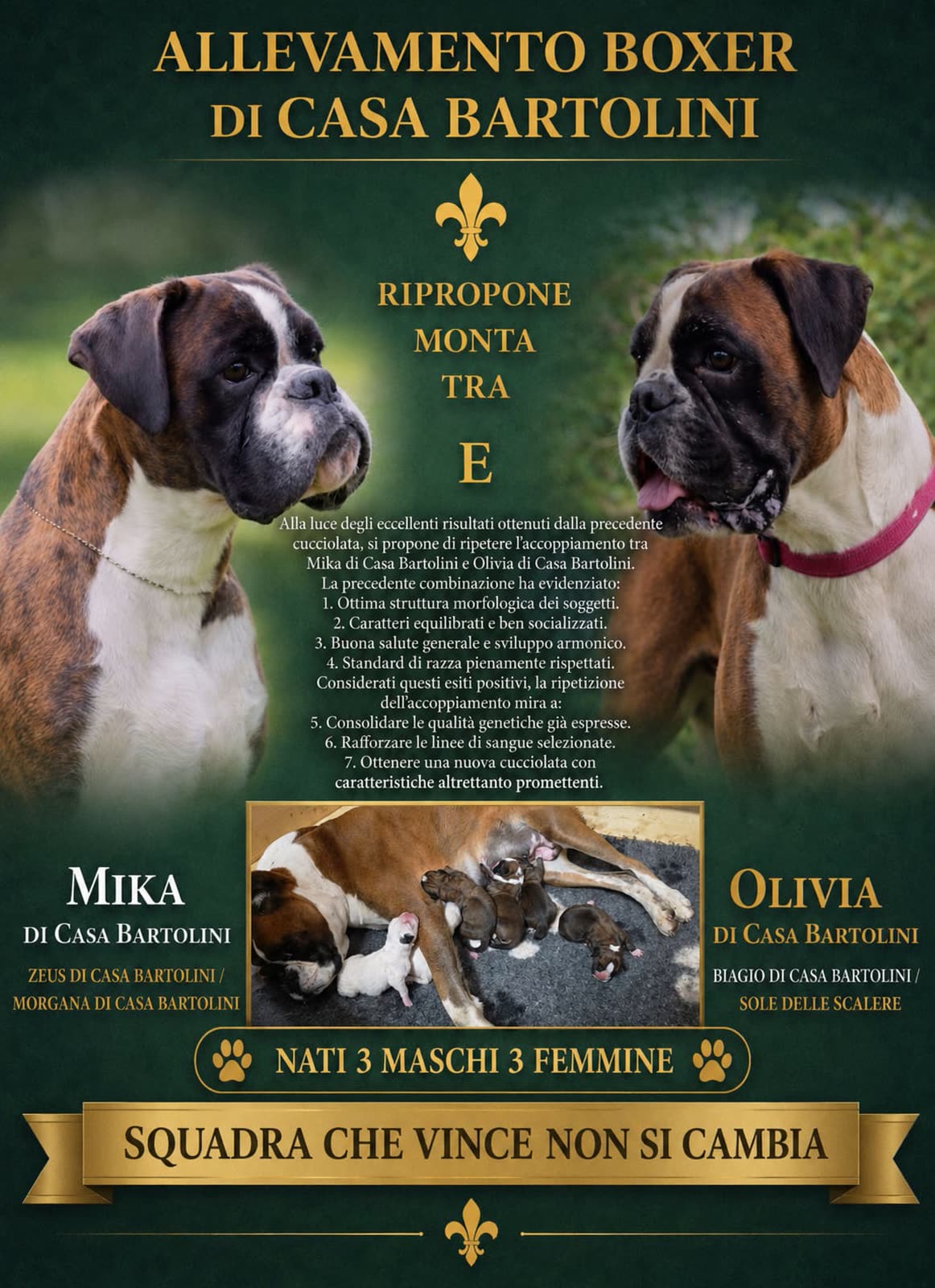 Casa Bartolini poster