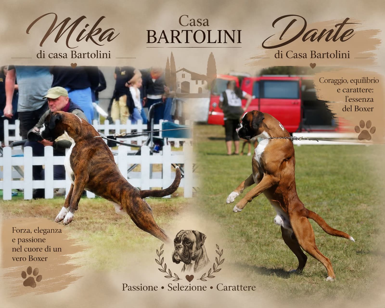Casa Bartolini poster