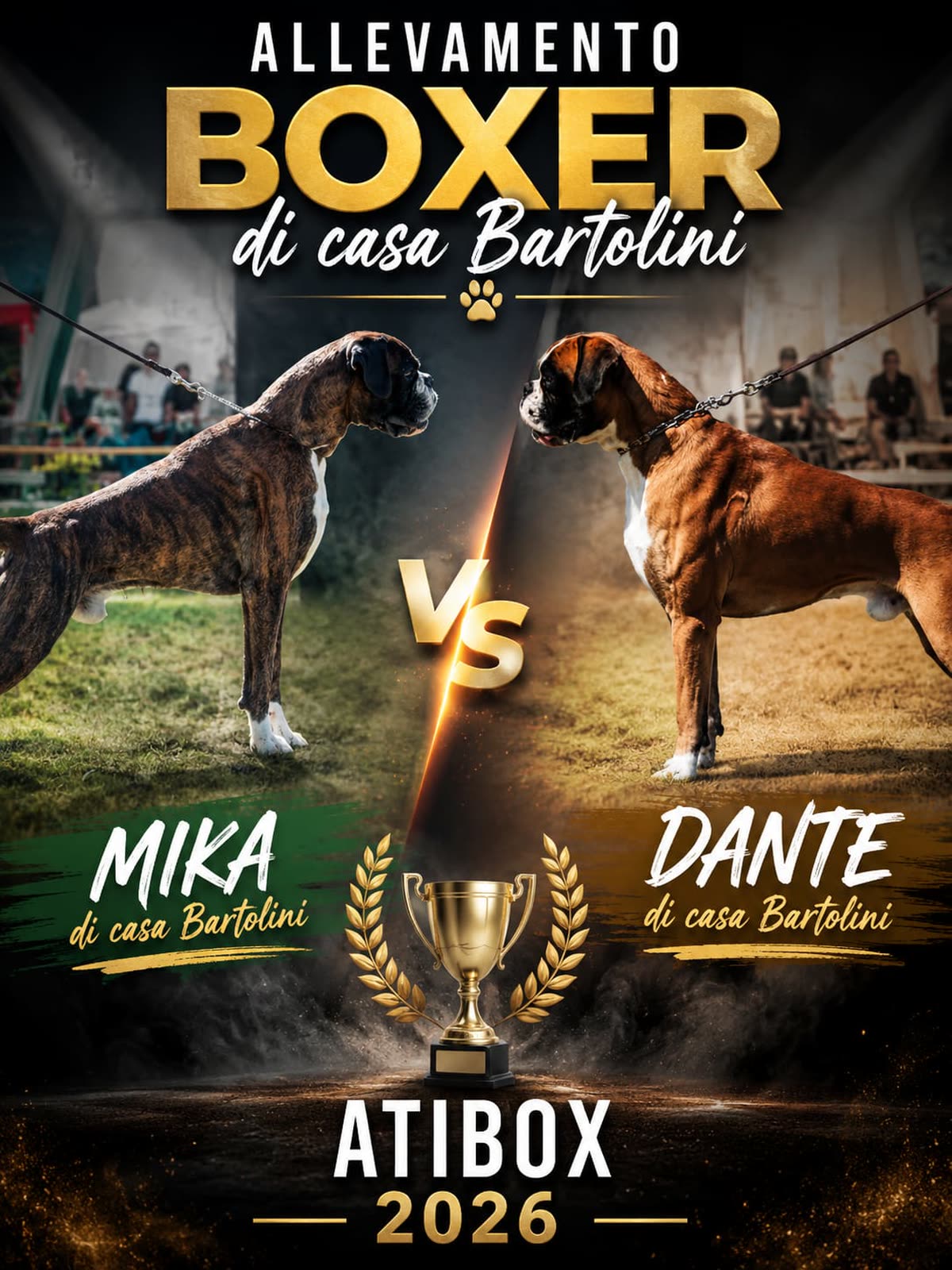 Casa Bartolini poster
