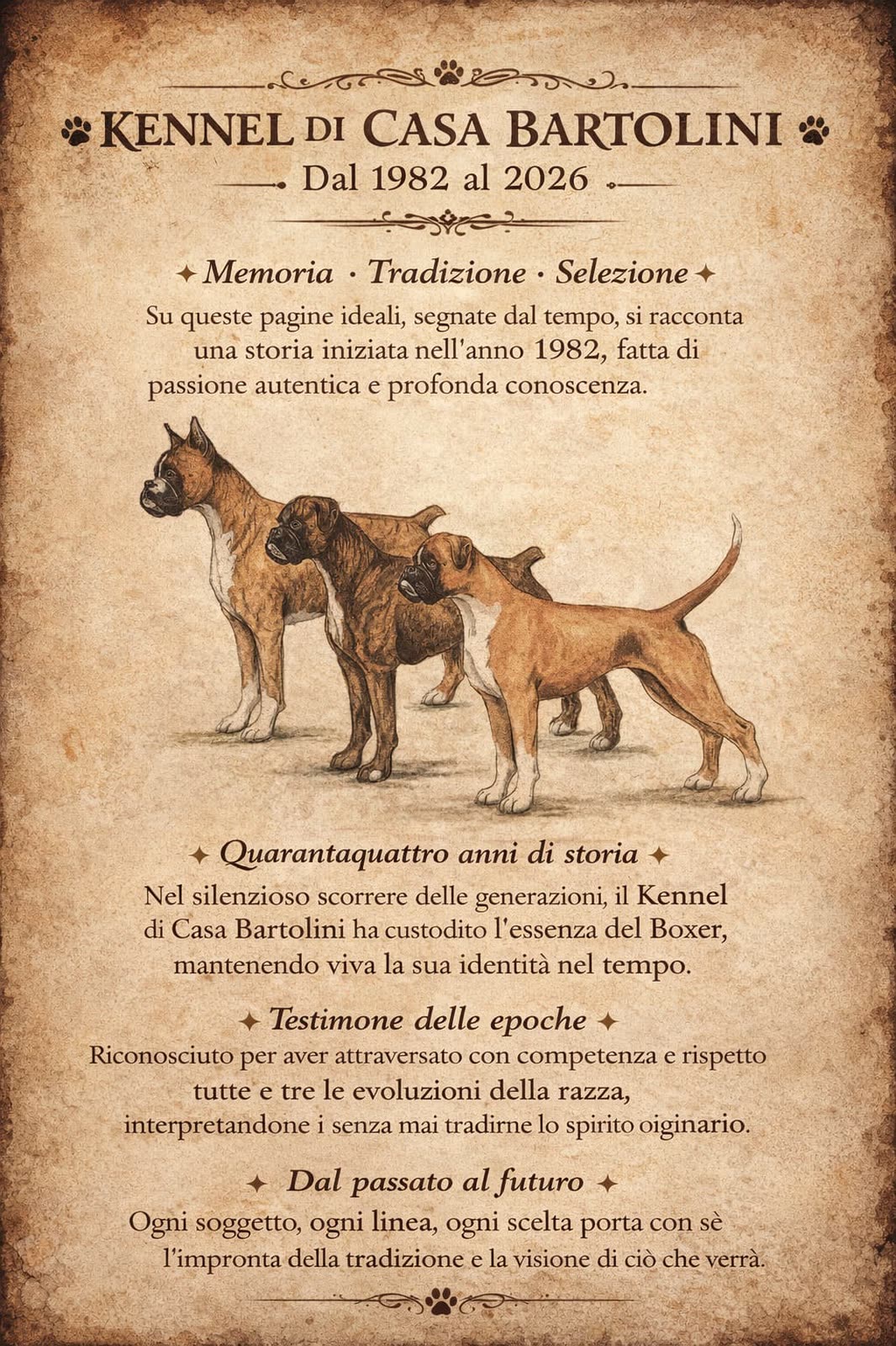 Casa Bartolini poster