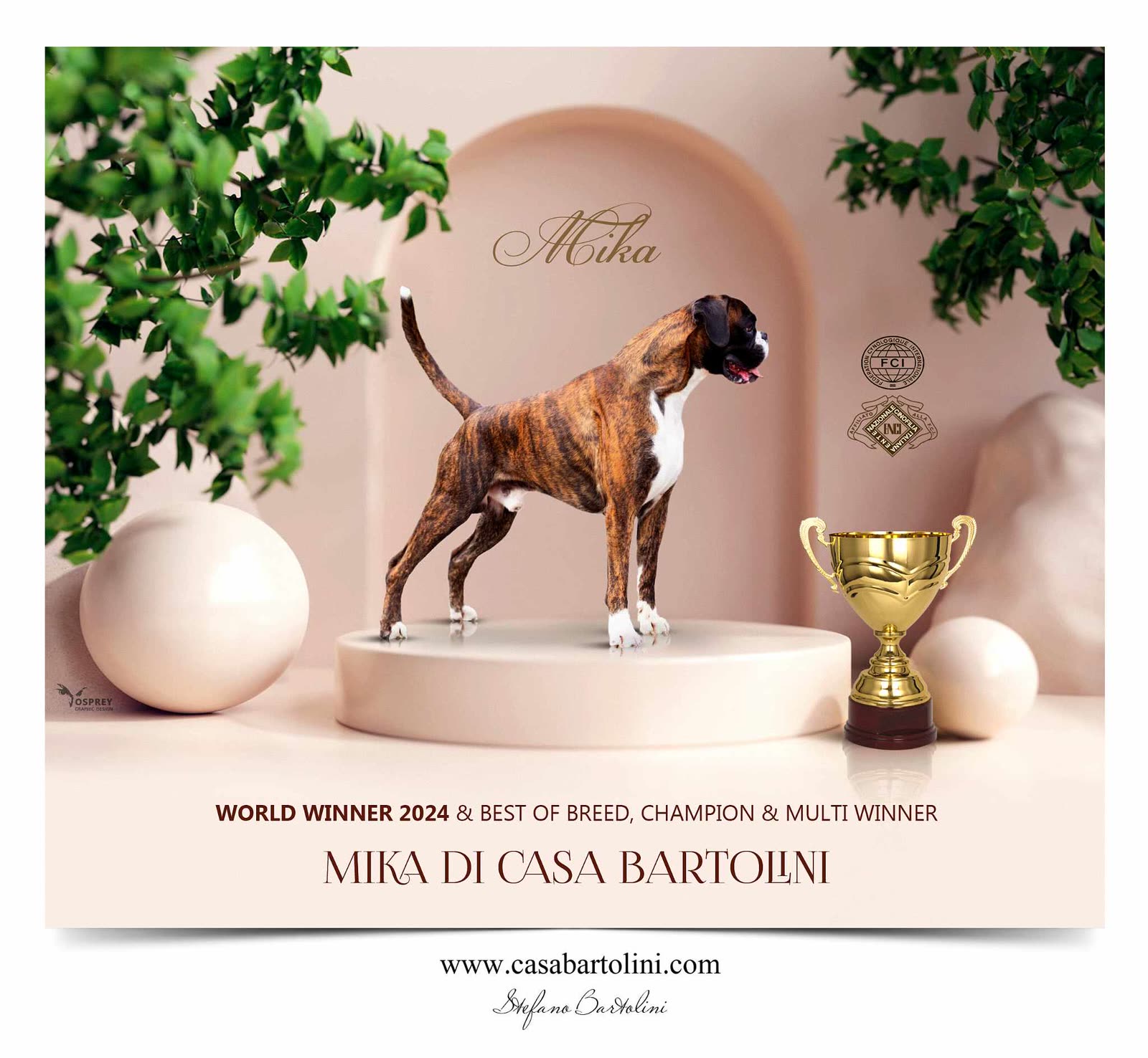 Casa Bartolini poster
