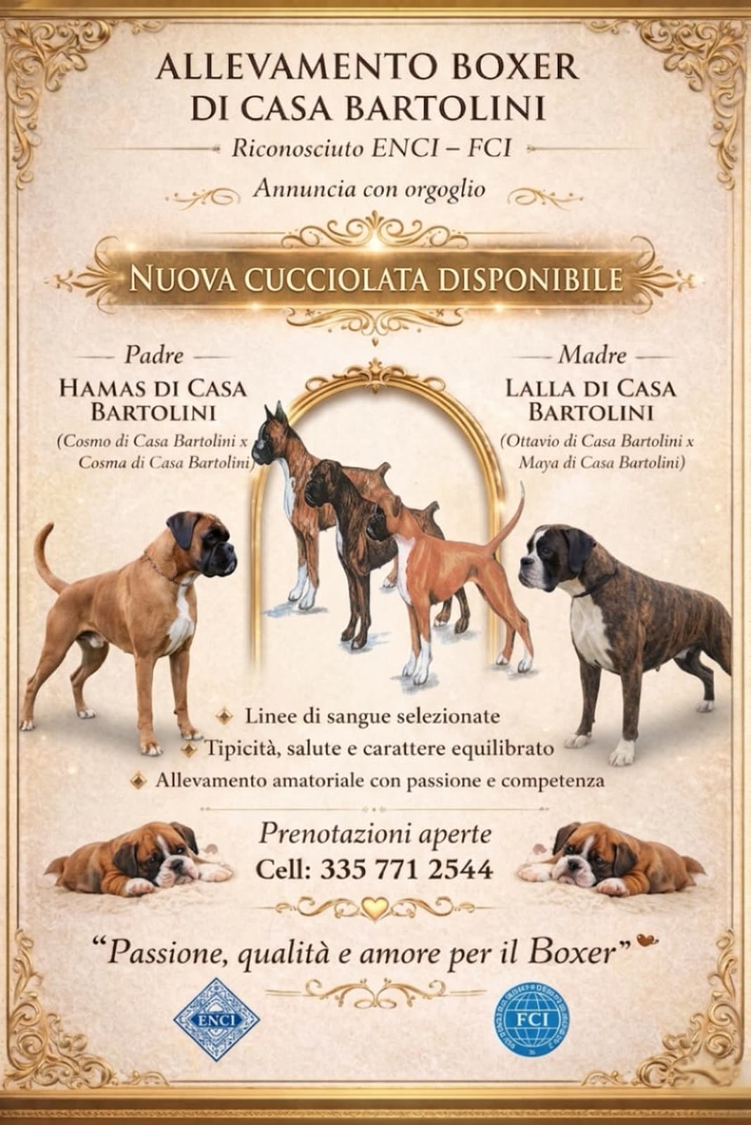 Casa Bartolini poster