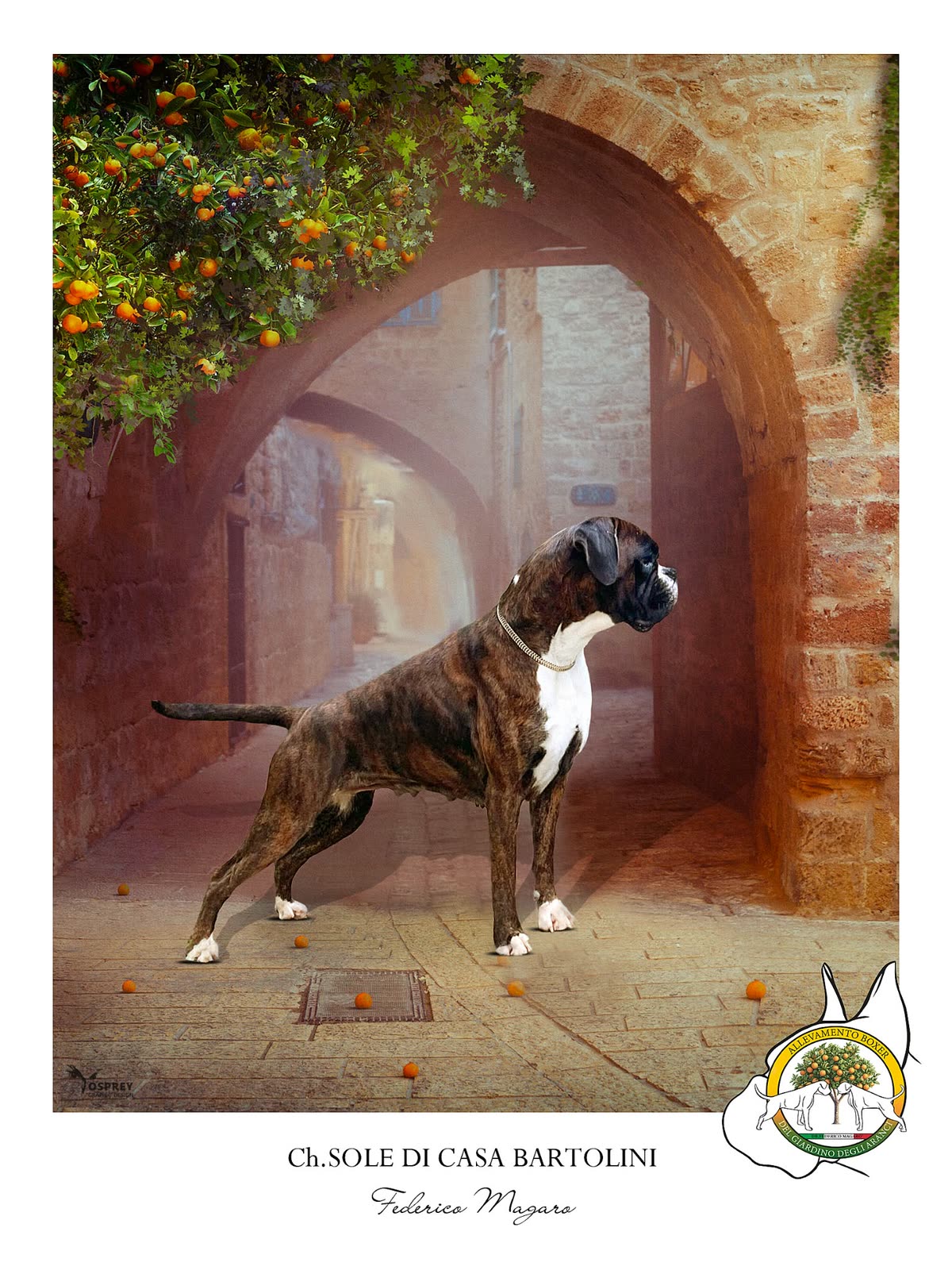 Casa Bartolini poster