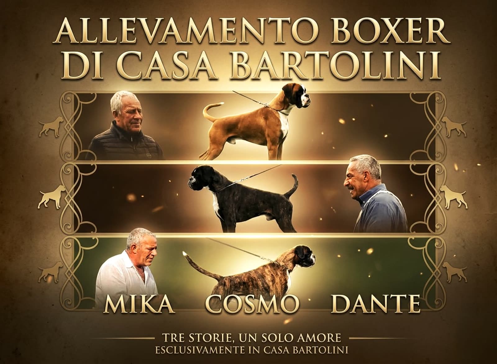 Casa Bartolini poster