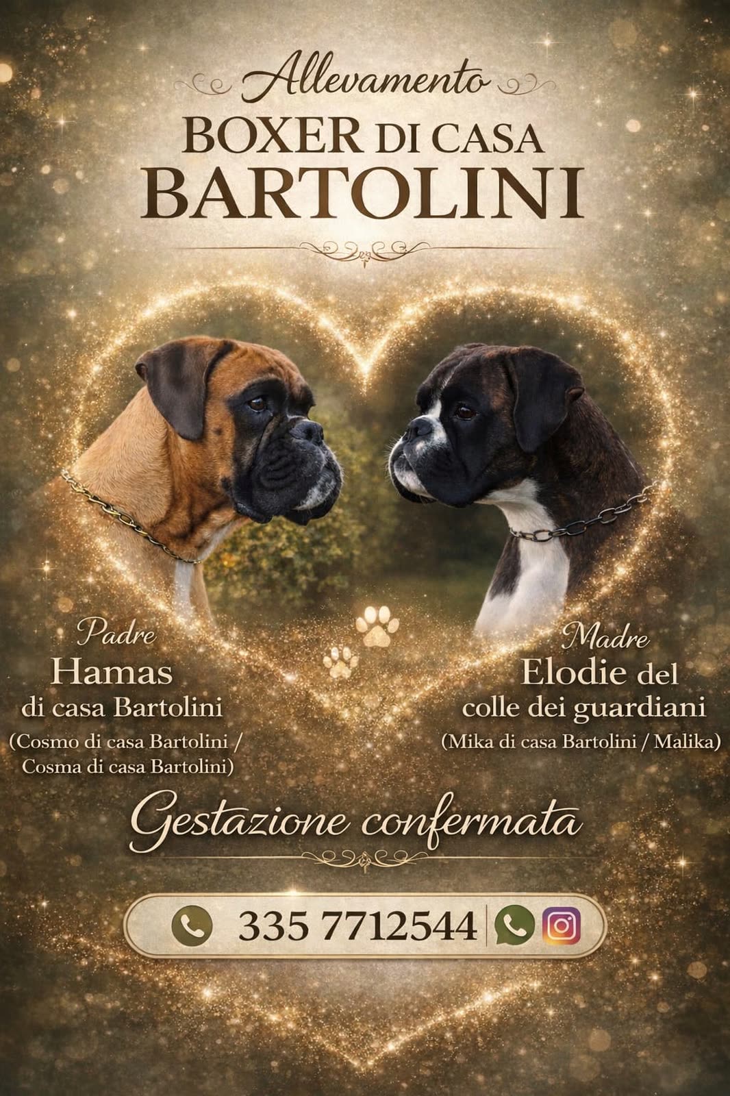 Casa Bartolini poster