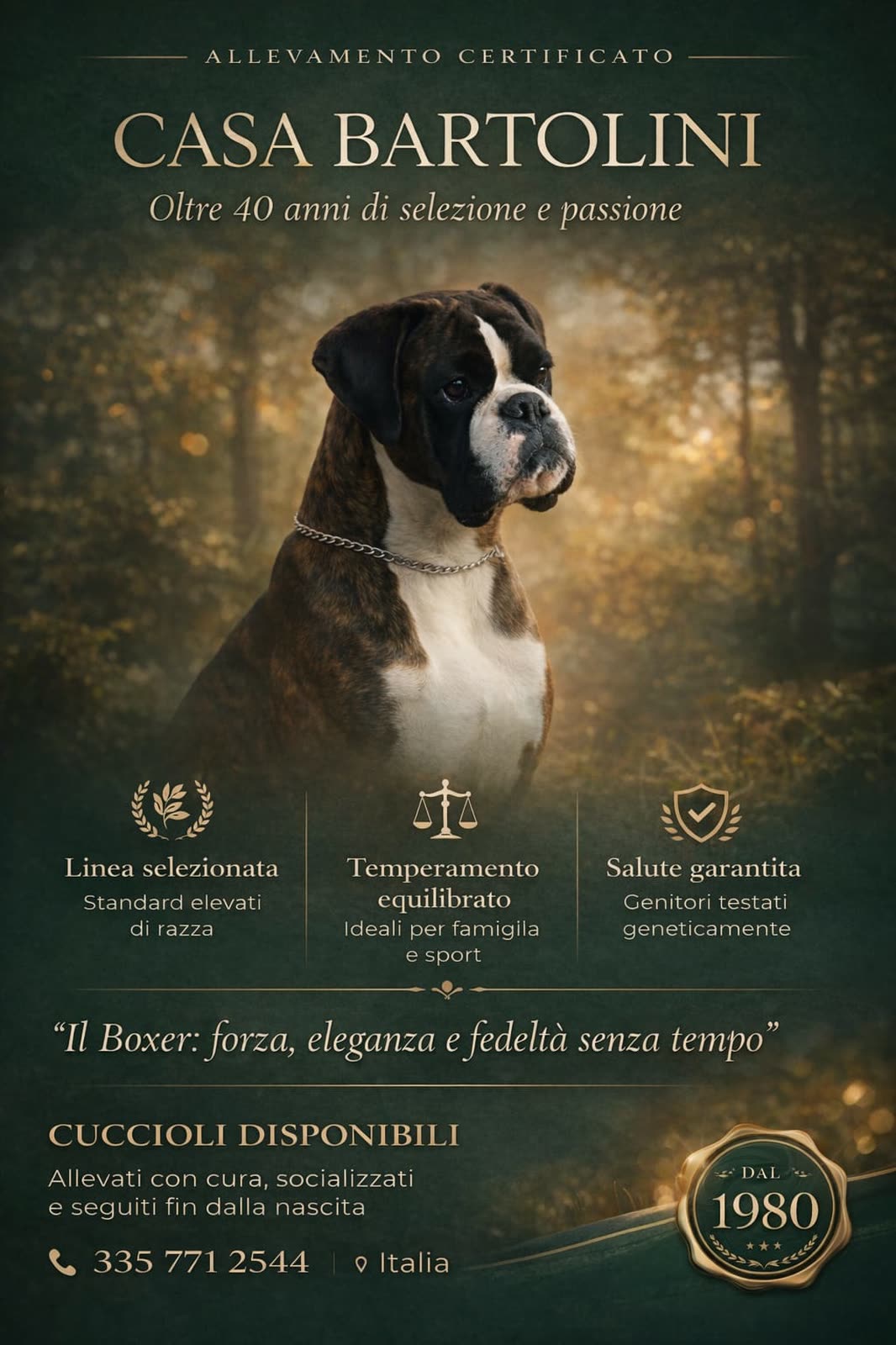 Casa Bartolini poster