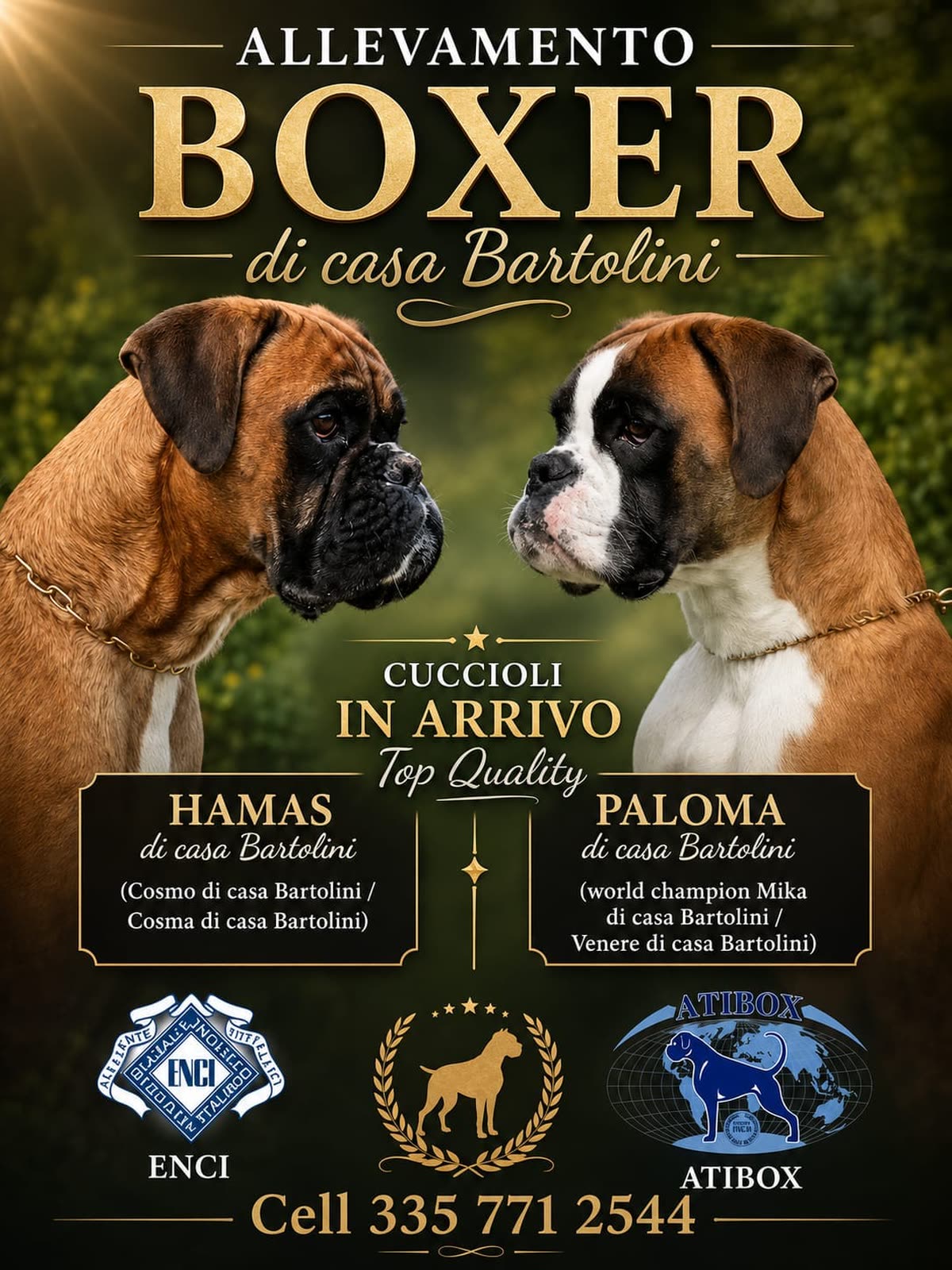 Casa Bartolini poster
