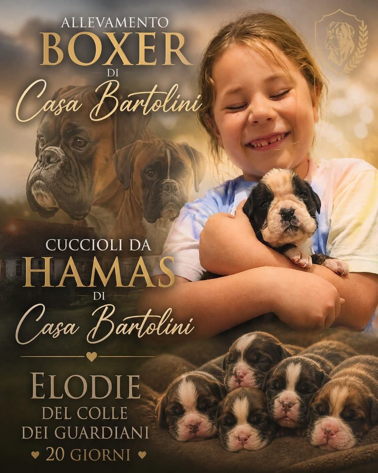 Casa Bartolini poster