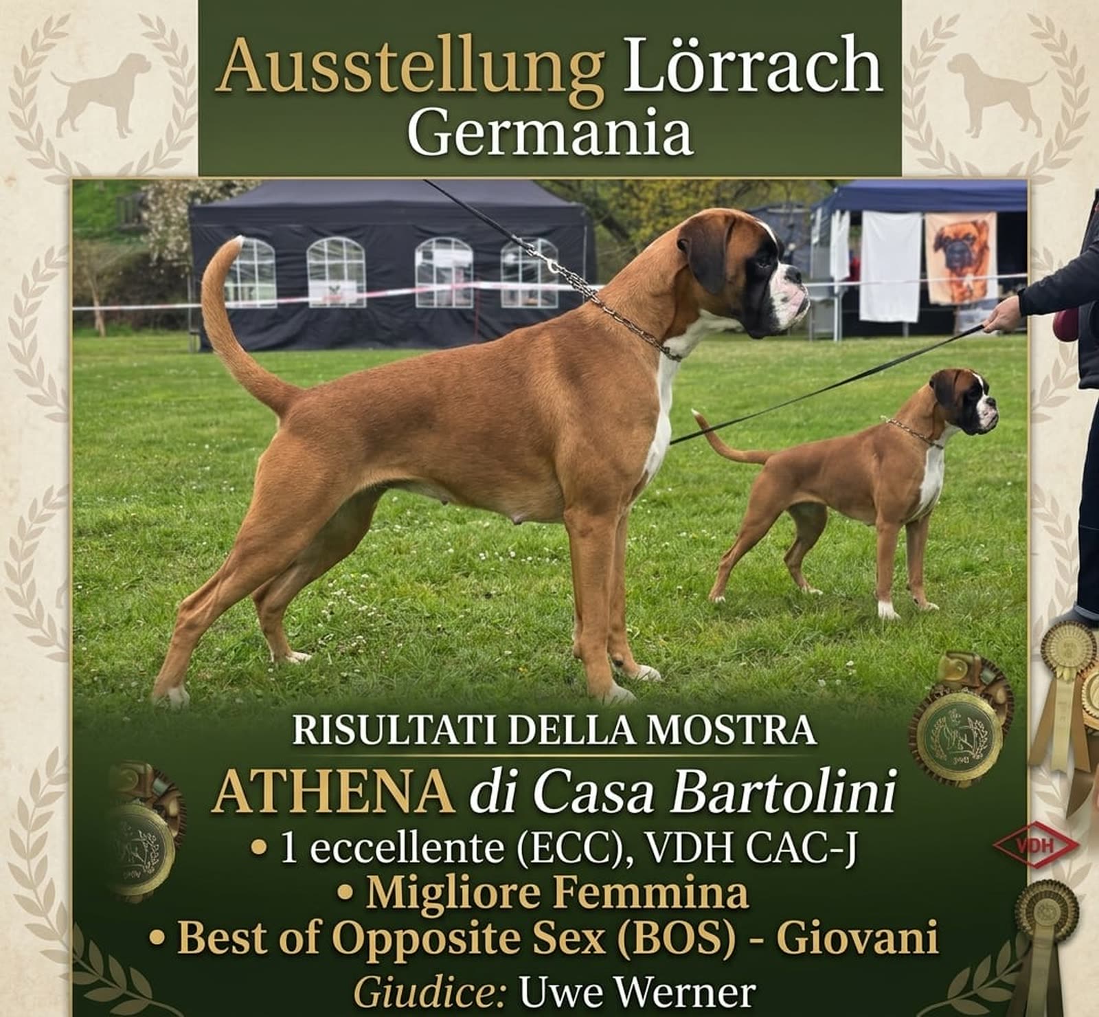 Casa Bartolini poster