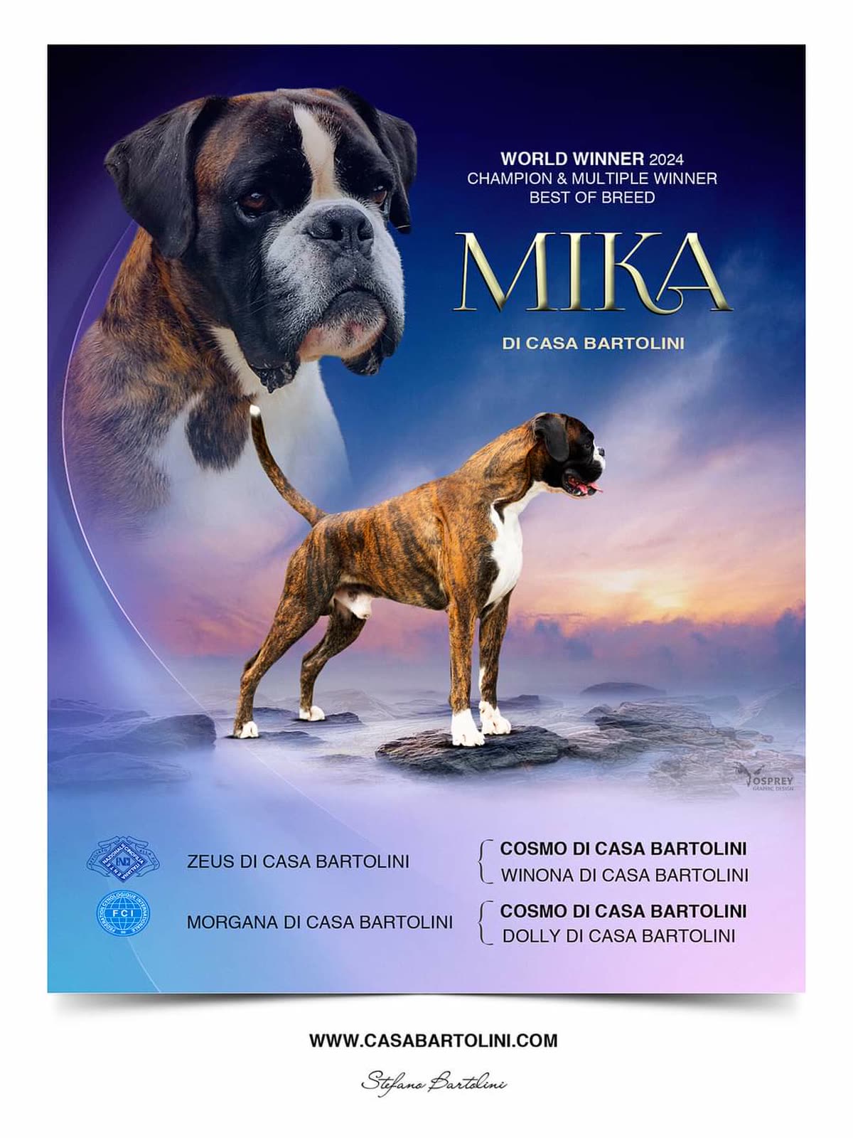 Casa Bartolini poster