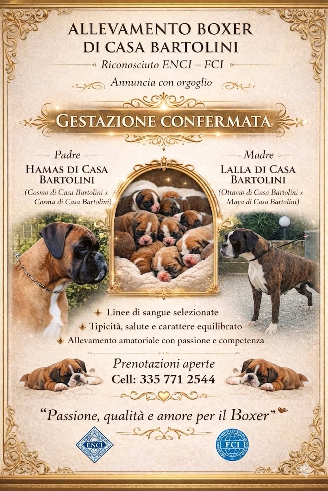 Casa Bartolini poster