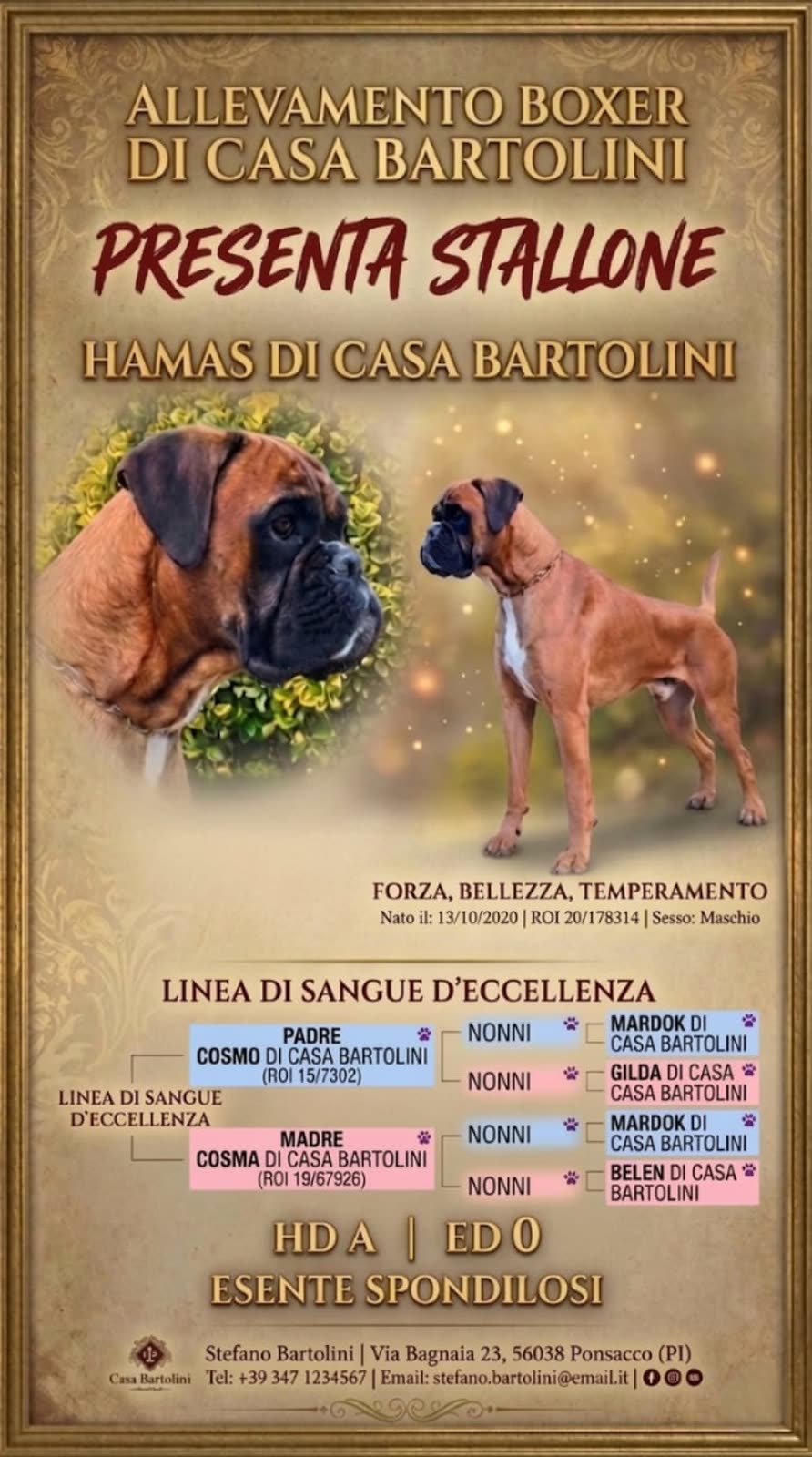 Casa Bartolini poster