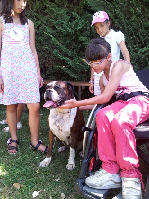 A scuola dal boxer