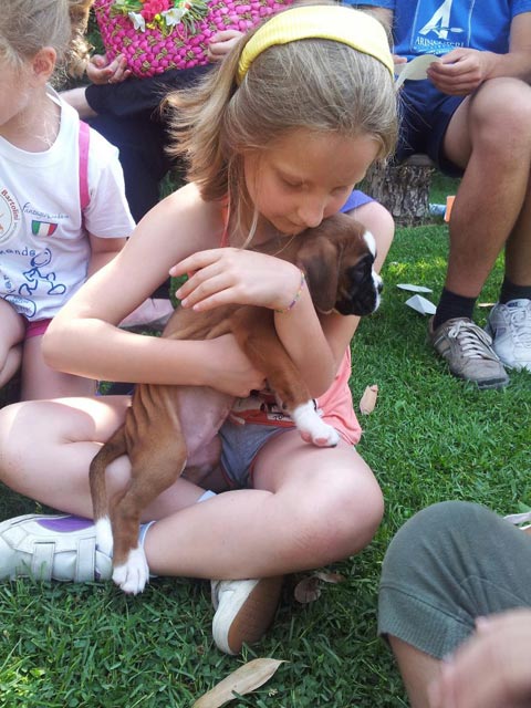A scuola dal boxer